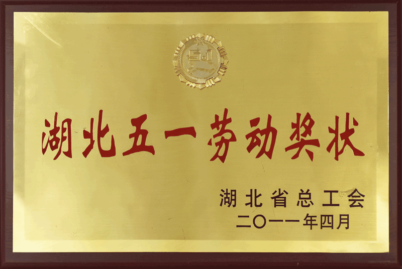 ��˹ά��˹9888(�й���)�ٷ���վ